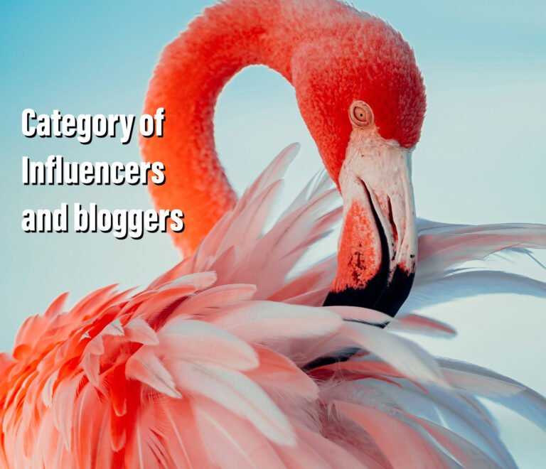 Category Influencers and bloggers