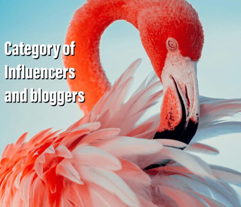 2-Category Influencers and bloggers